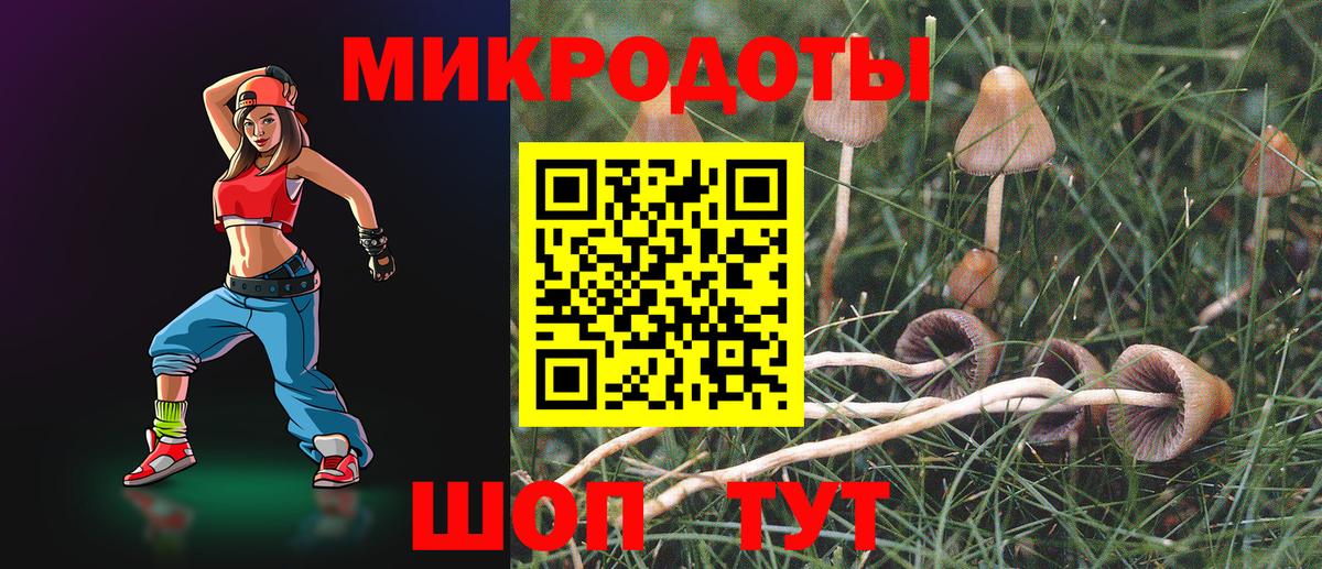 Галлюциногенные грибы Psilocybe Иваново