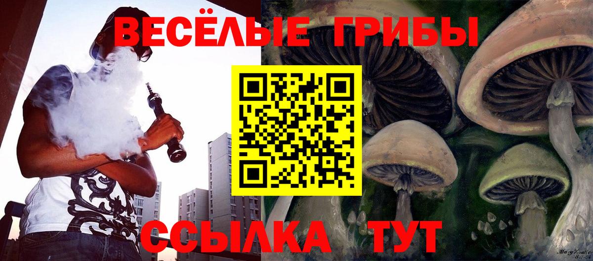 Иваново  Галлюциногенные грибы Cubensis  где можно купить наркотик  Вход с VPN 